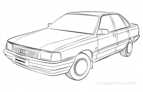 100 / 200 (1976 - 1991)