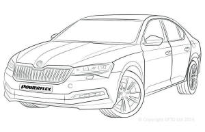 Superb (2015 - )