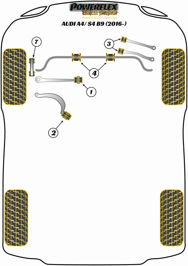 A4 / S4 B9 (2016 - ON) - Race diagram