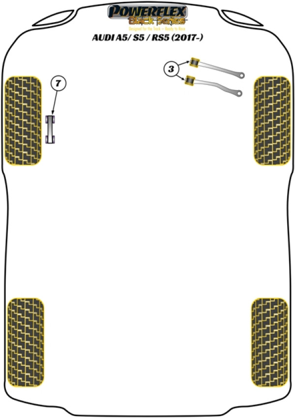 A5 / S5 / RS5 (2017 - ON) - Race diagram