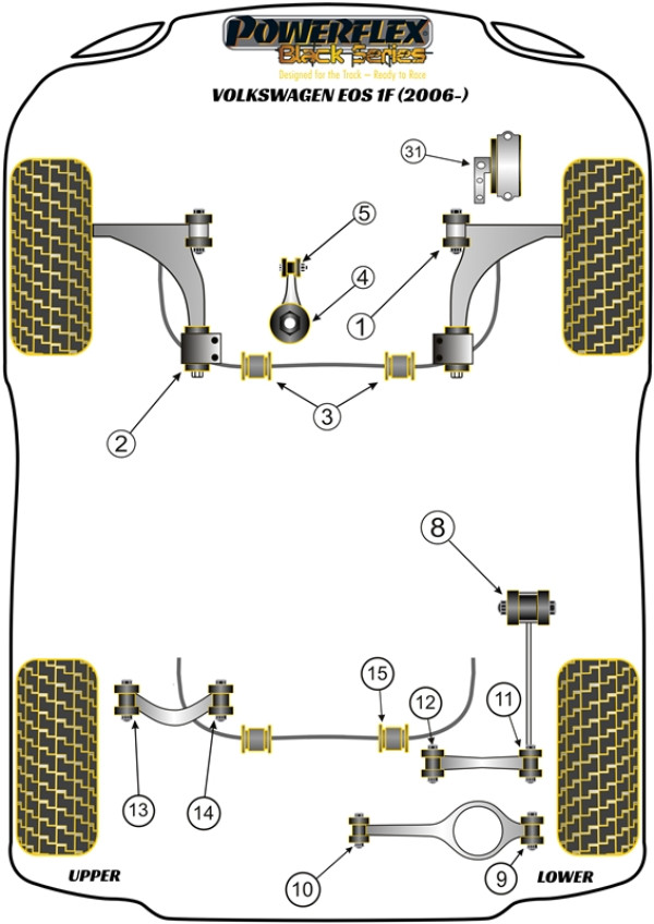 Eos 1F (2006-2016) - Race diagram