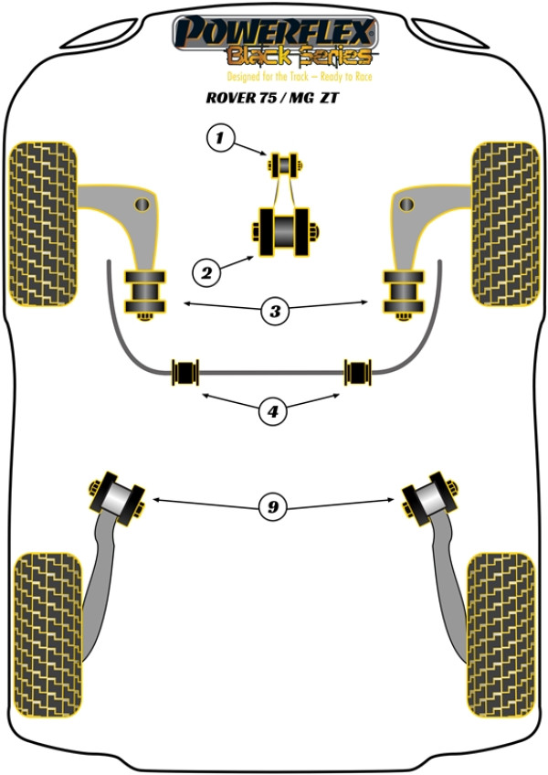 ZT (2001-2005) - Race diagram