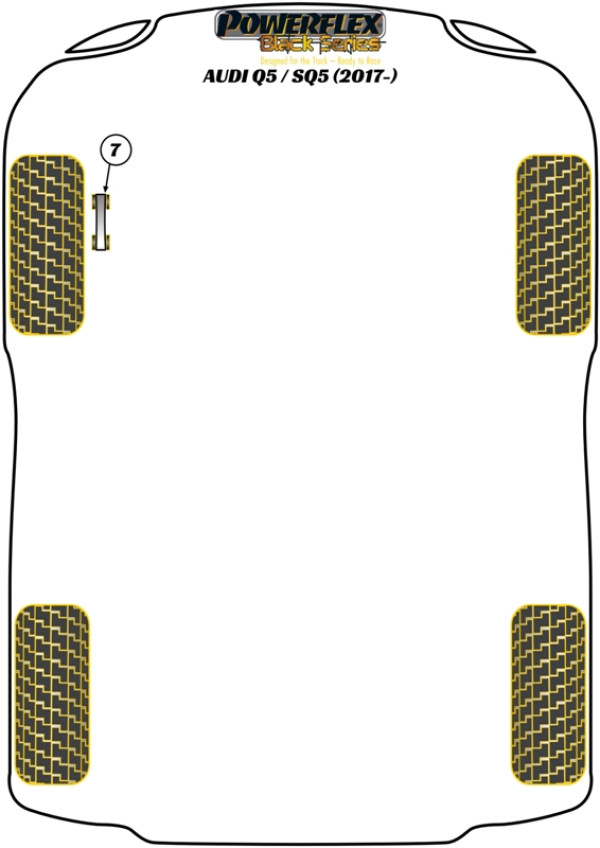 Q5 / SQ5 (2017 - ON) - Race diagram
