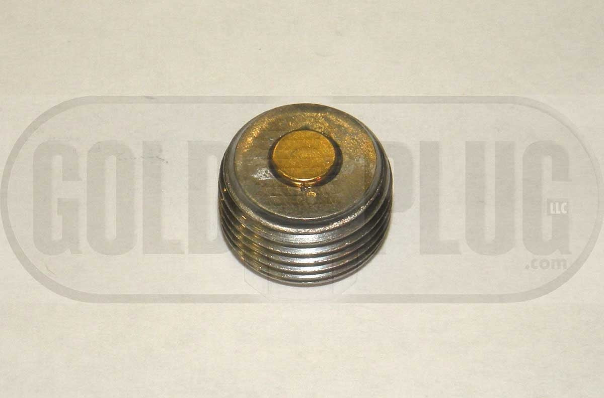 Gold plug magnetisk bundprop 1/4" NPT gevind. Indvendig
