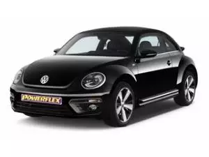 Beetle A5 Multi-Link (2011 - ON)