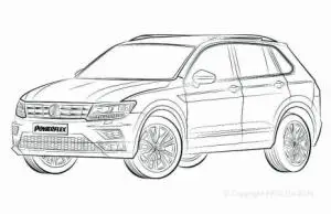 Tiguan AD/BW MK2 (2017 ON)